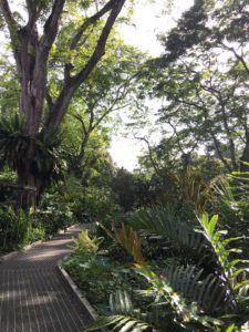 botanicgarden