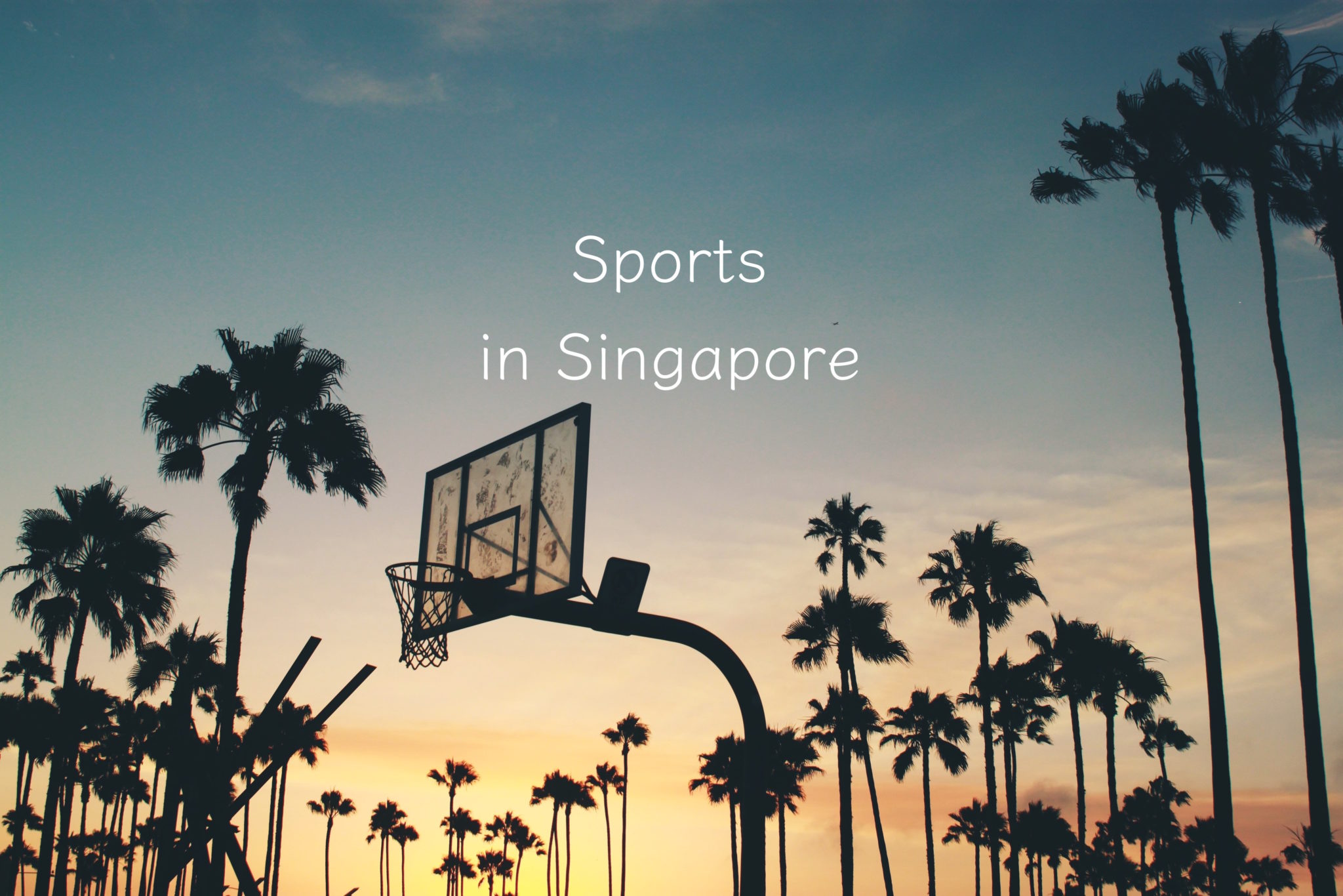 今熱い人気スポーツは シンガポールのスポーツ事情 Dansingapore