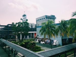 tigerbeerfactory