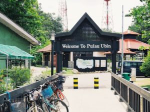 pulauubin4
