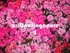 WeeklyDanSingapore5