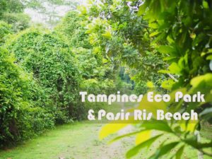 tampinesecopark